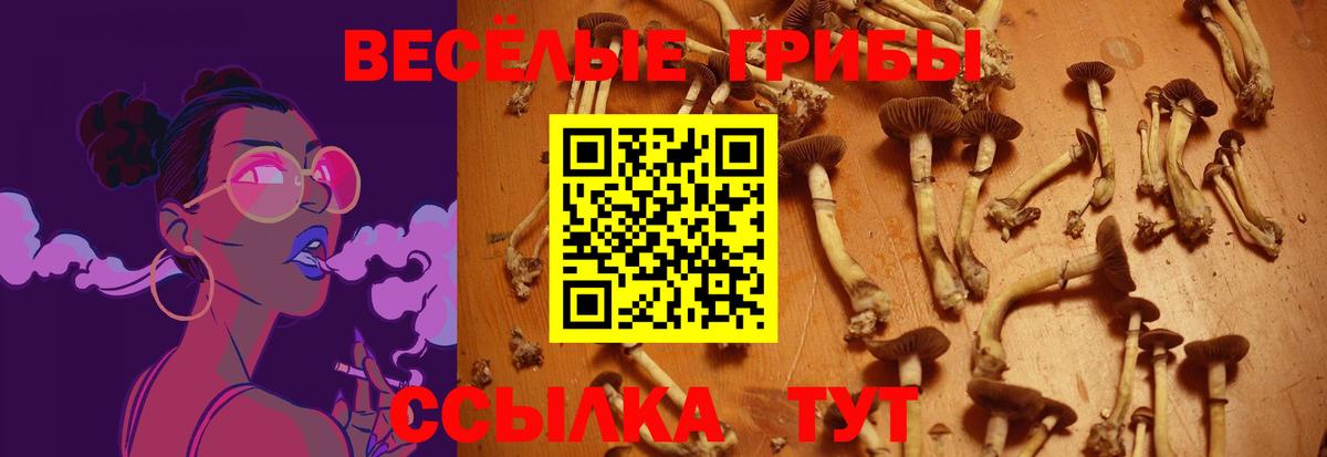 Галлюциногенные грибы мицелий Ялуторовск